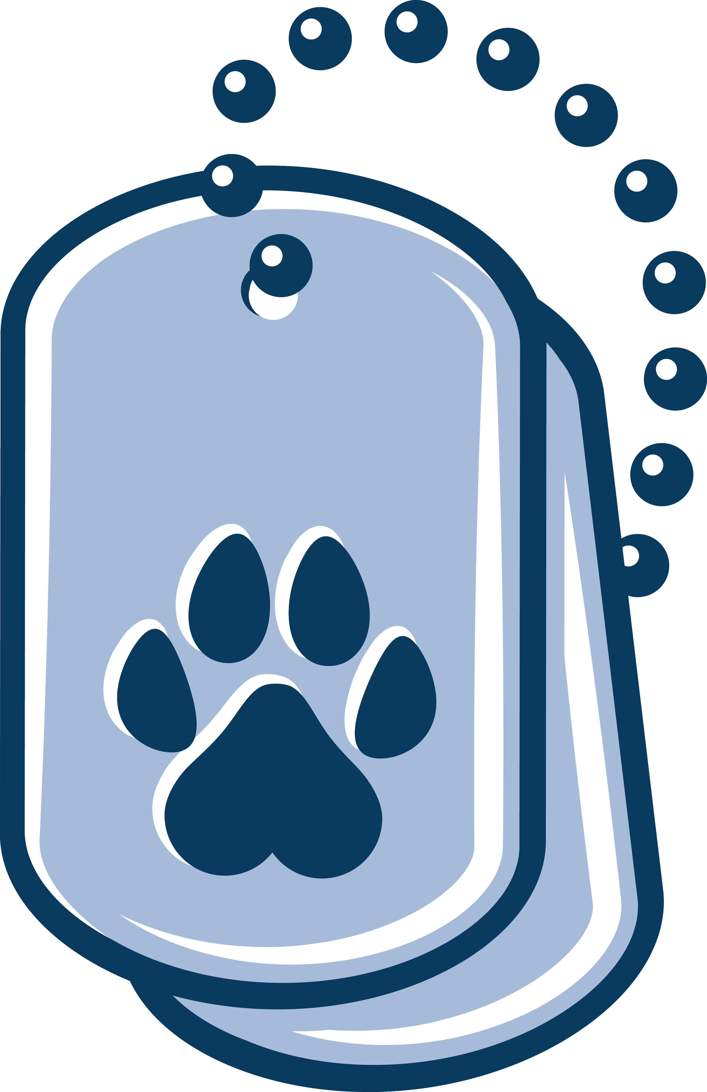 Maine Paws for Veterans